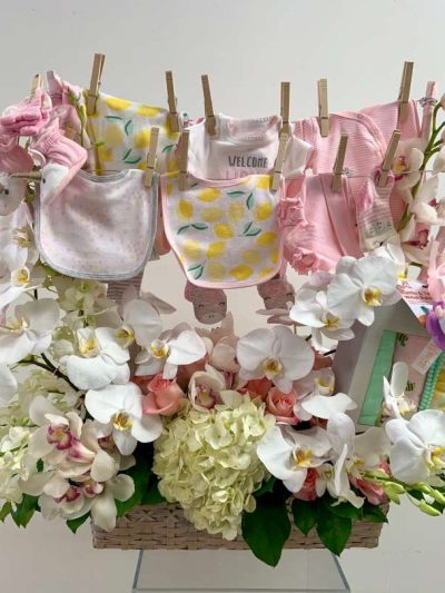 Baby Clothesline 1
