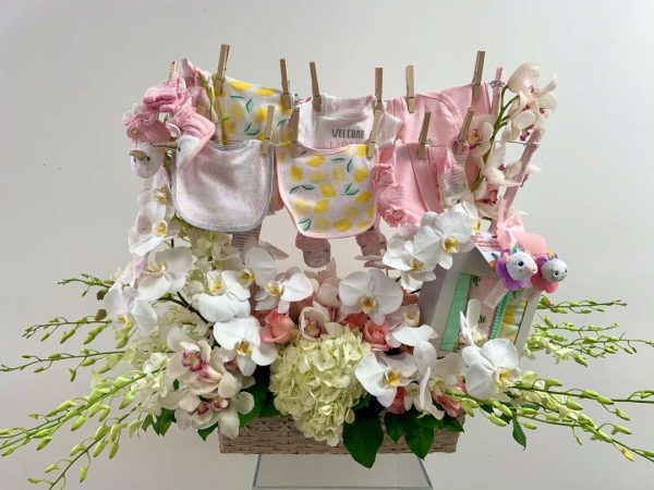 Baby Clothesline 1