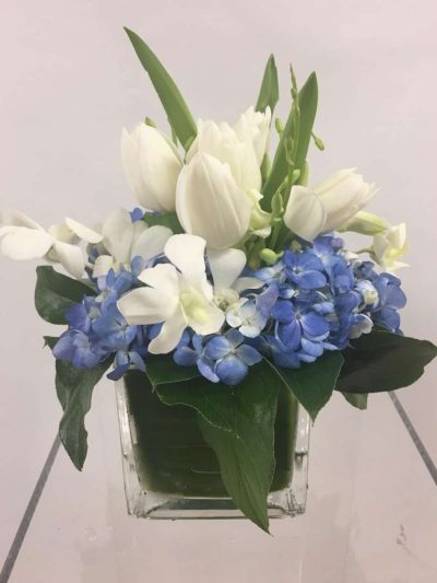 BlancBlue