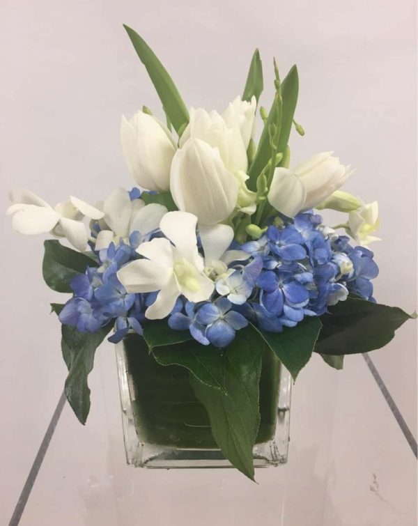 BlancBlue