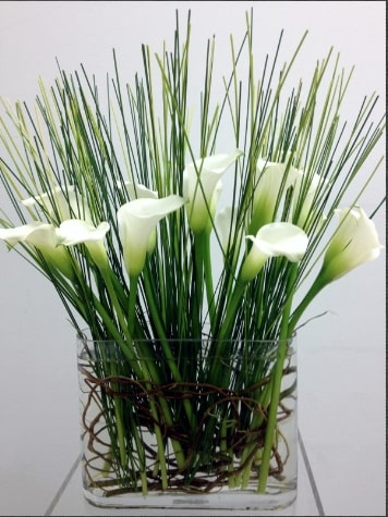 Callas with Reeds