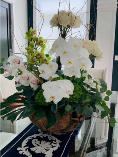 Orchid Plant Arrangements