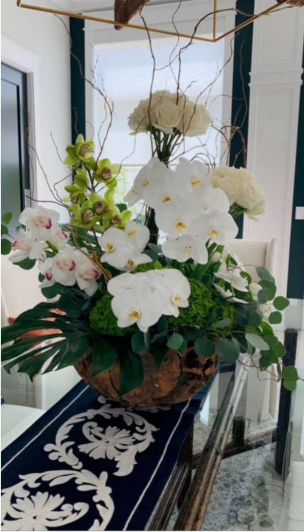 Orchids & Company