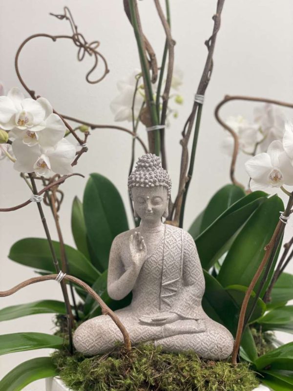 Buddha's Orchids - Image 2