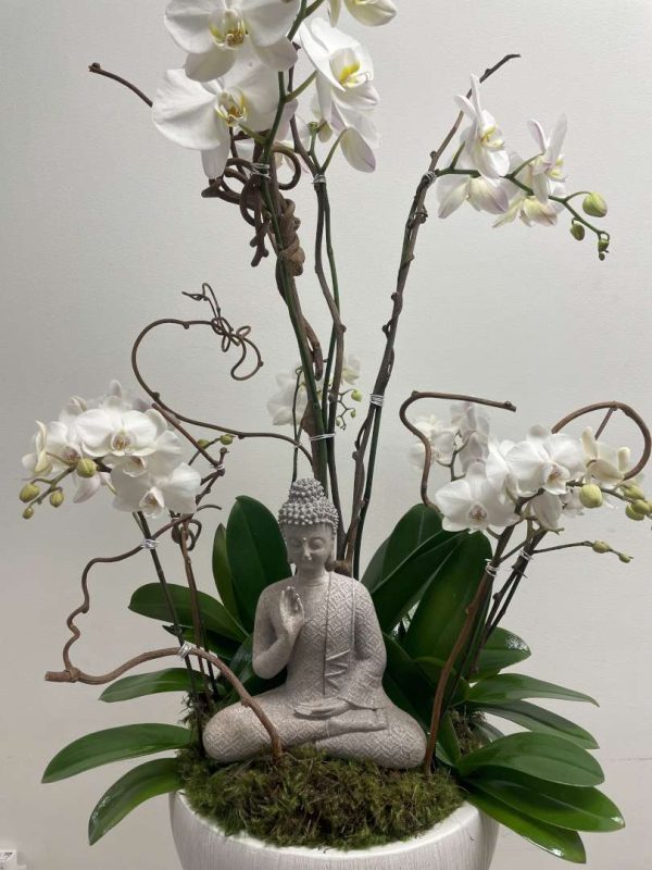 Buddha's Orchids - Image 3