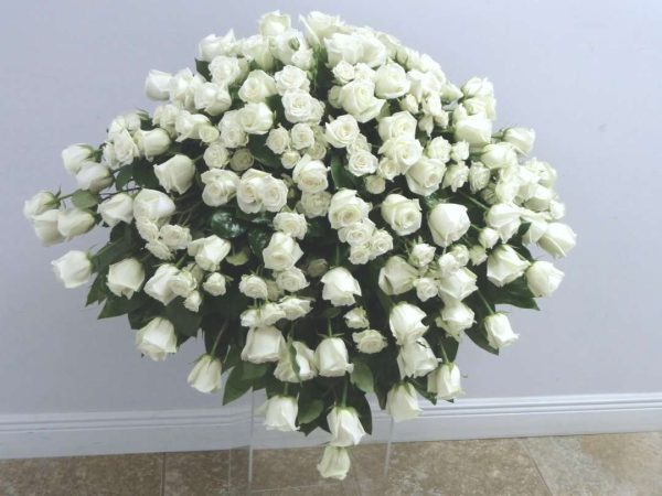 Rose Condolence