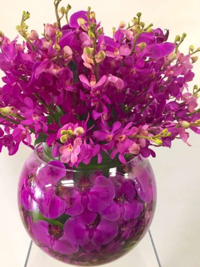 Magenta Pink