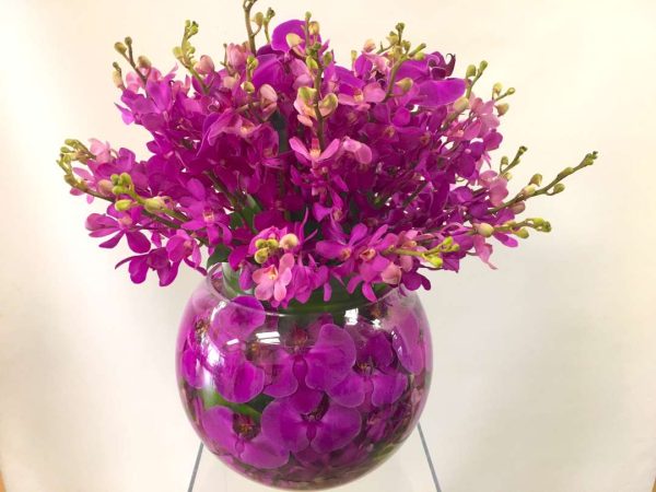 Magenta Pink