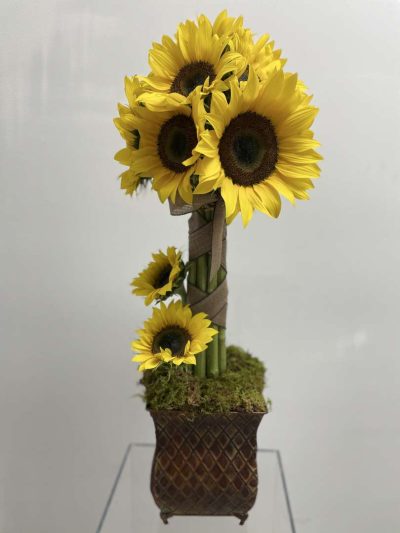 Sunshine