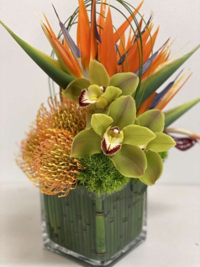 Tropical petit