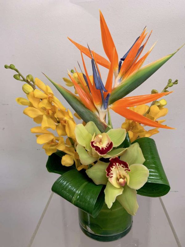 Simple Tropics