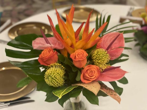 Orange Tropic Crush