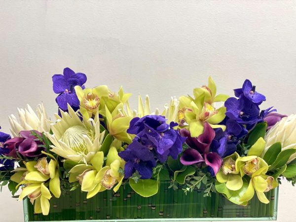 Blue Tropics